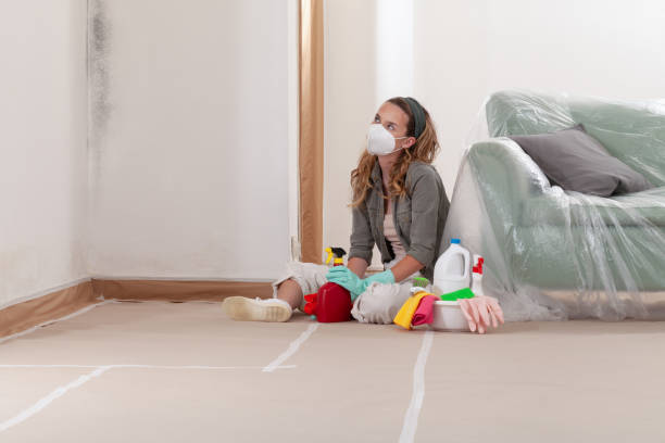 Reliable Mold Cleanup contractor in Cabin John, MD by WQB Mold Removal